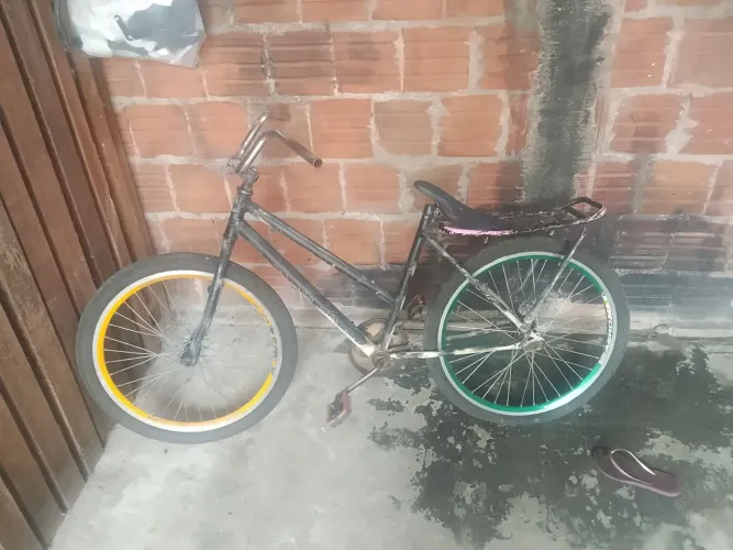 Bike poti aro 24