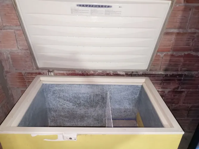 Freezer Electrolux 1 porta
