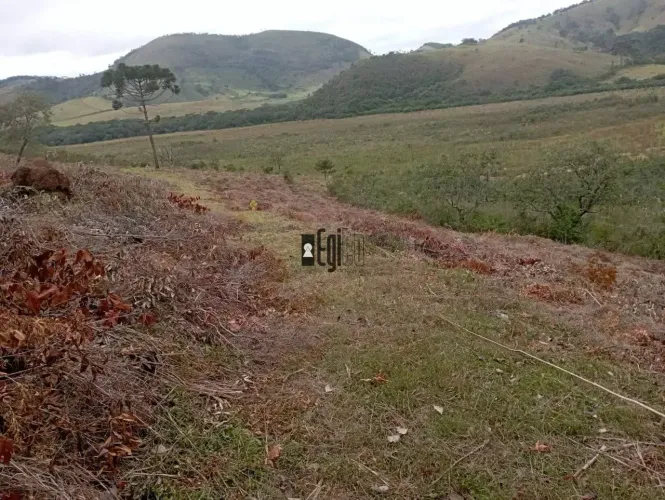 Fazenda com 966700 m² (96,67 hectares) por R$ 1.899.000 - Zona Rural - Liberdade/MG