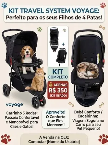 Carrinho Pet / Bebê 3 Rodas Voyage + Bebê Conforto (Excelente Estado)