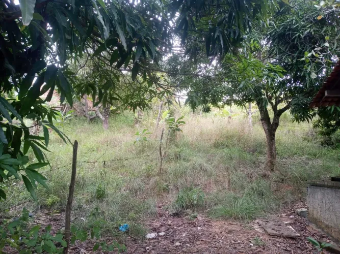 Terreno 