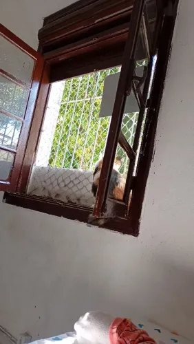Alugo um quarto na minha casa