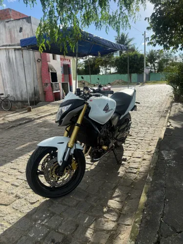 Hornet 2014