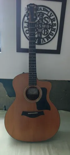 Taylor 114ce Original + Bag Taylor - Excelente Estado