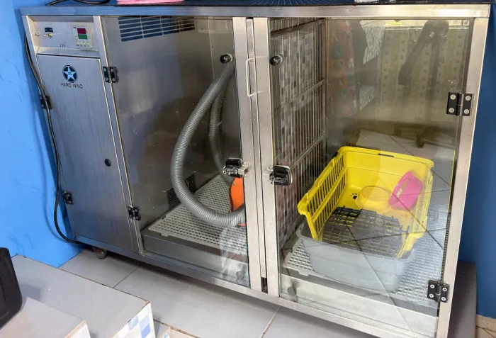 Máquina para secar cachorro