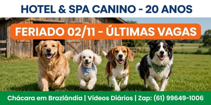 HOTEL & SPA CANINO - 20 anos - Feriado 02/11 últimas vagas