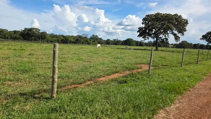 Fazenda com Aptidão para Agricultura e Pecuária à Venda em Paraíso no Vale do Araguaia  TO