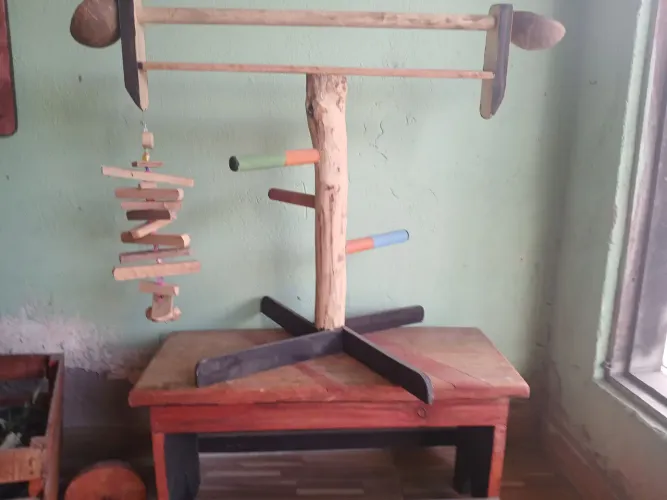 Brinquedos para aves