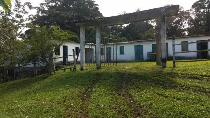 FAZENDA PRODUTIVA DE CACAU À VENDA - 23 HECTARES | ILHÉUS x URUÇUCA