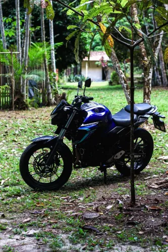 FZ25