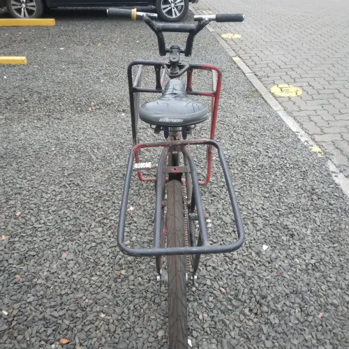 Bicicleta carga