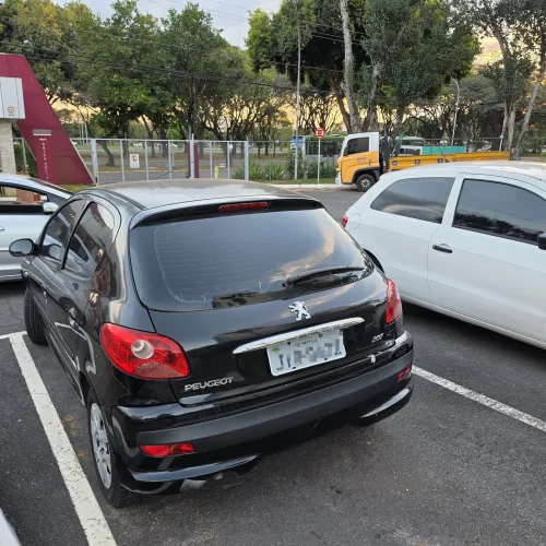 Peugeot 207 XR 1.4 Flex 8V 5P 2011
