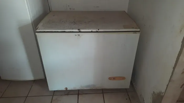 Freezer horizontal