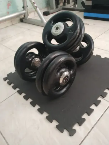Halteres 20kg ( entrego)