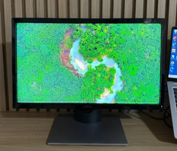 Monitor Dell SE2216H Full HD 22"