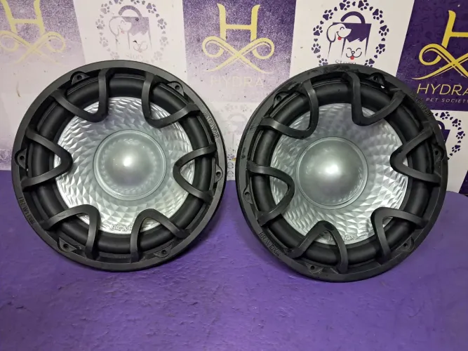 2 ?Subwoofers 12 Polegadas Bravox 12d2 500w Rms Cor Preto e cinza