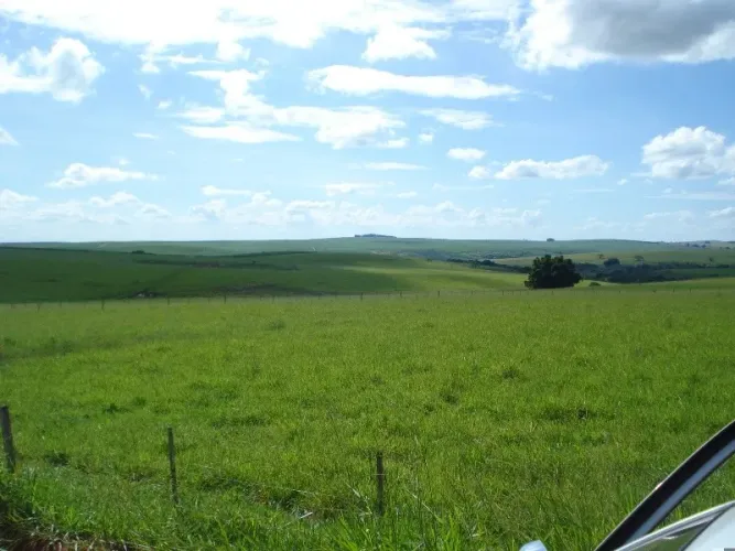 Fazenda 1194 Alqueires, Montada e Estruturada na Pecuária, Topografia Plana, Terra Vermelh