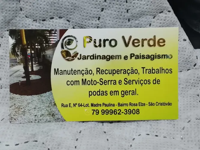 PURO VERDE JARDINAGEM E PAISAGISMO