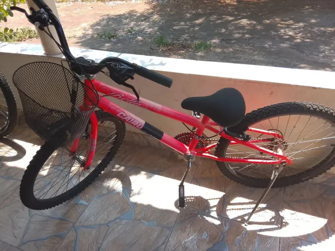 Bicicleta