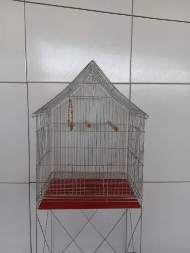 GAIOLA PARA PASSAROS