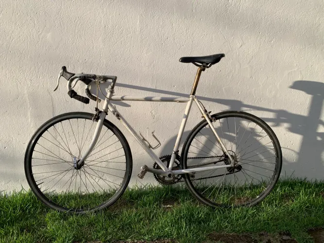Bike Speed Giant + Shimano
