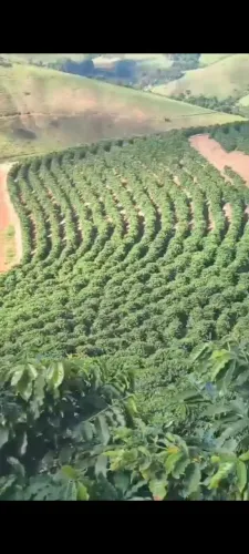 Terreno lavoura de café