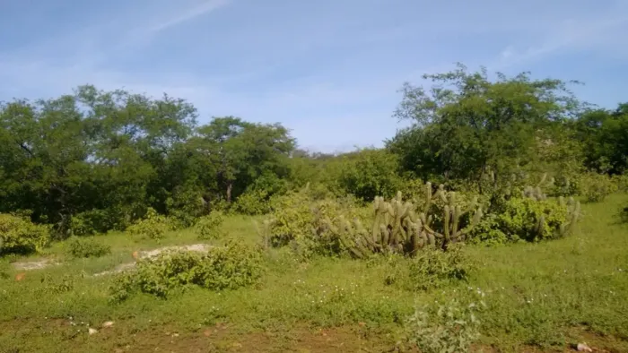Vende-se. Terreno na Praia Caiçara do Norte com 200m2 valor R$ 15,,reais.