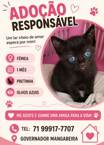 Adoção Filhotes 