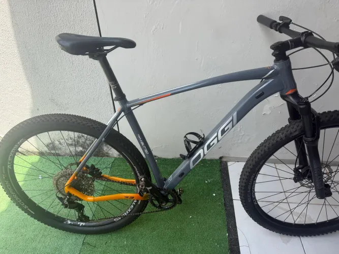 Vendo Bike mtb oggi