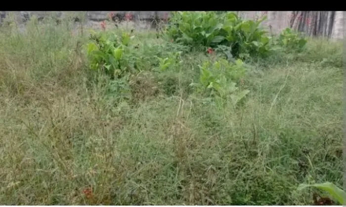 Venda de terreno no caminho de Extremoz Px a AmBev