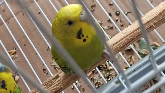 ??,?,???.