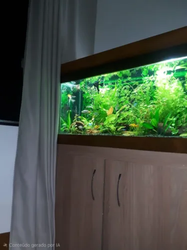Aquário 250L- Completo
