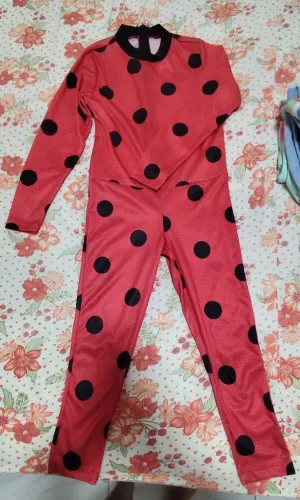 Fantasia Lady bug 9 anos