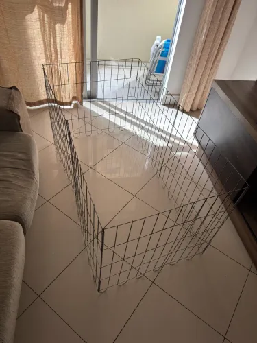 Cercadinho de ferro para pets