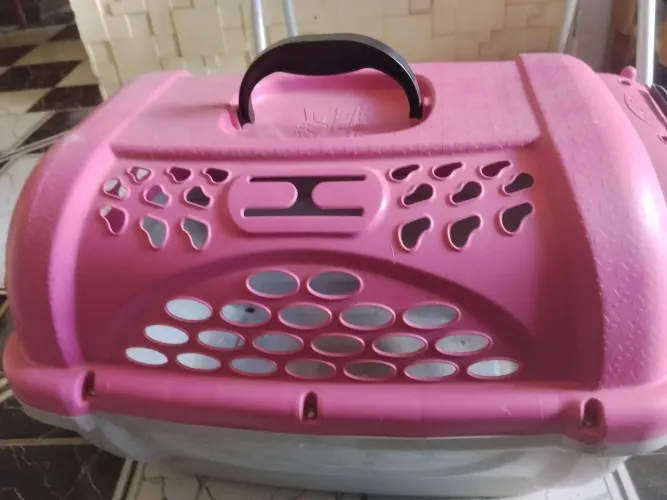 Caixa de transporte para pet