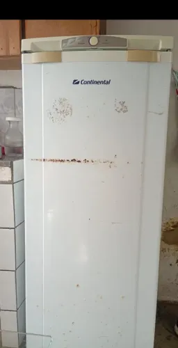 Geladeira continental 270 Lts