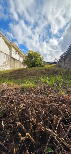 TERRENO RESIDENCIAL em SÃO PAULO - SP, PARQUE DOS PRÍNCIPES
