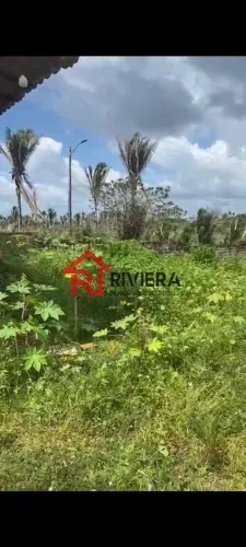 TERRENO INDUSTRIAL em Pinheiro - Maranhão, Centro