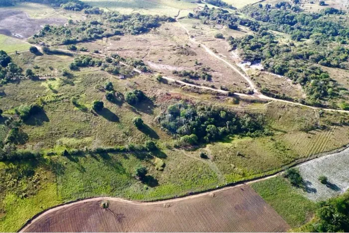 Venda Terreno Rural com 9 Hectares - Oportunidade em Alhandra, Paraíba!
