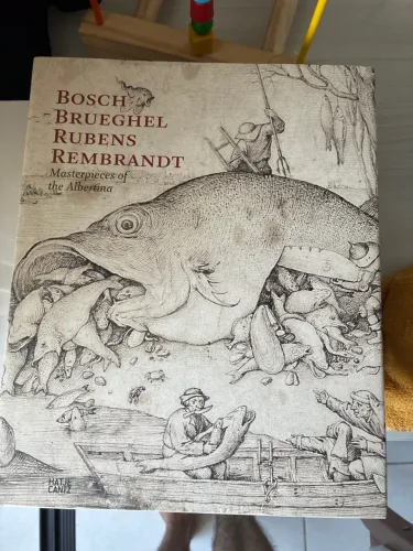 Livro sobre arte e pintura holandesa