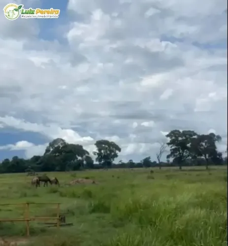 FAZENDA À VENDA EM CORUMBÁ / PANTANAL AUTO MS 2.720 HECTARES (PECUÁRIA)