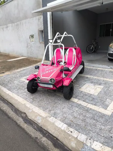 Buggy Fapinha Xingu Partida Eletrica 7HP Motor Branco Novo