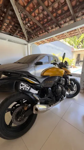 HORNET DOURADA!