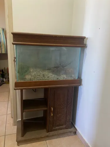 Aquário 50 litros
