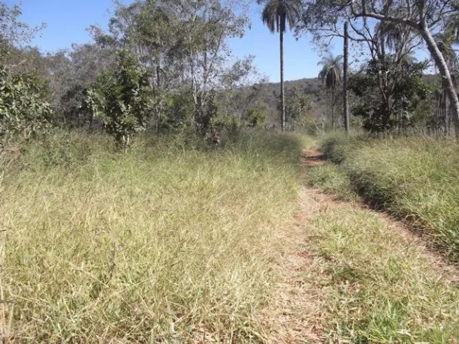 Lindo terreno Rural de 80.000m², Serra do Cipo (Temos varias opções).