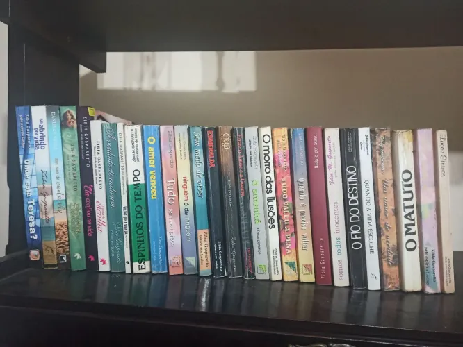 Livros da Zibia Gasparetto - Diversos títulos!