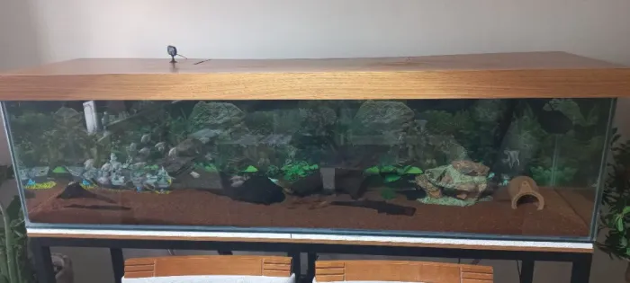 Aquario grande de 2 metros (500 liitros) completo