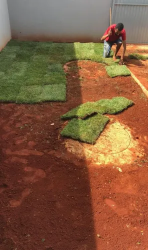 GRAMAS JA PLANTADAS EM JARAGUA E REGIAO