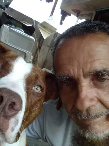 Adestrador de Cães 