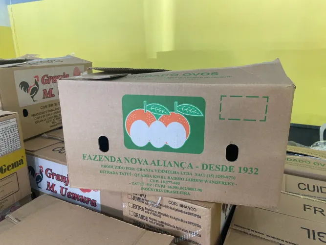 Caixa de ovos vazia 